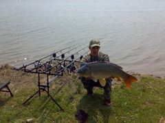 hobaia 2009